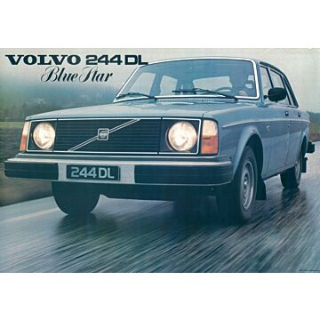 Poster DL Blue star op autoweg  reproductie